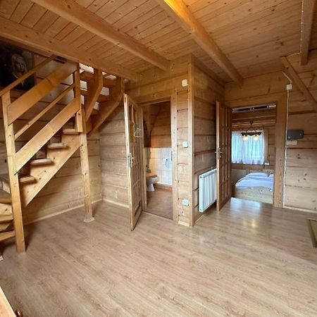 Jedynocka Villa Kościelisko Eksteriør billede